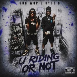 U Ridin Or Not