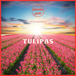 Tulipas