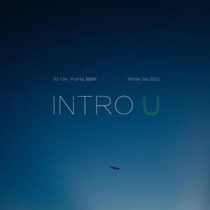 INTRO YOU