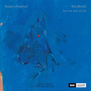 29. Canon / Kanon / Kánon (Allegro Non Troppo)