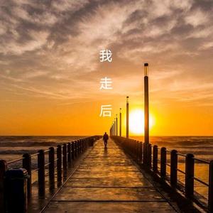 闻鹏程 - 我走后