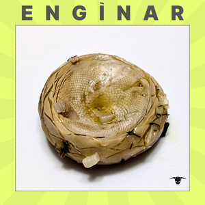 Enginar