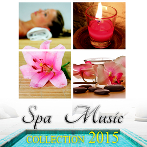 Wellness (Relax Music)