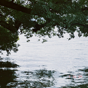 音频提取_133649_track1