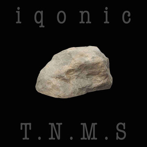 T.N.M.S