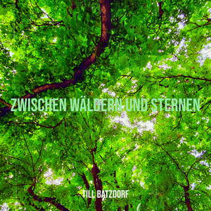 Zwitschernde Spatzen