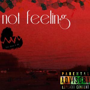 Not Feeling (feat. Lil Fire)
