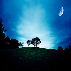 夢の列車で旅を続けよう