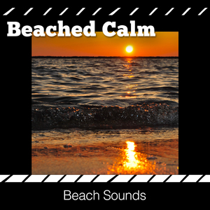 Swirling Tide Forests