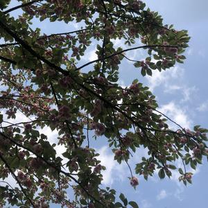 多想在平庸的生活拥抱你