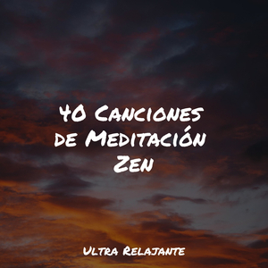 Meditación Junto Al Mar