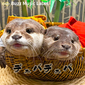 デュバデュバ