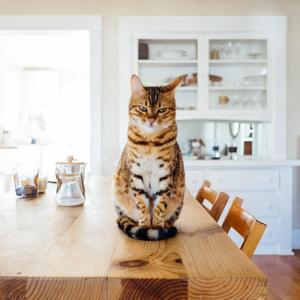 一个人的时候我可以......