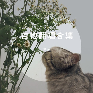 小宇（女声吉他翻唱）-cover张震岳