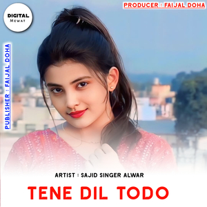 Tene Dil Todo
