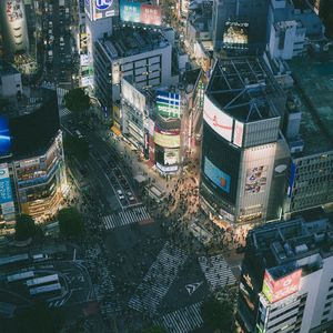 梦里花落知多少