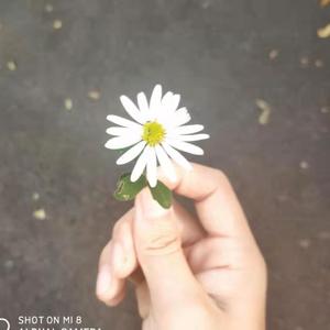今天阳光不太燥