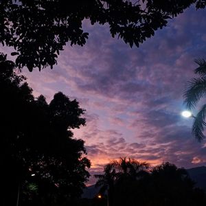 Destiny (prod.by Morrow)