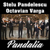 Stelu Pandelescu - Pandalia