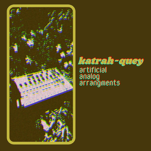 stumbing over my words