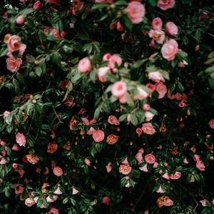 “同一个世界上有你和我”  Rnb