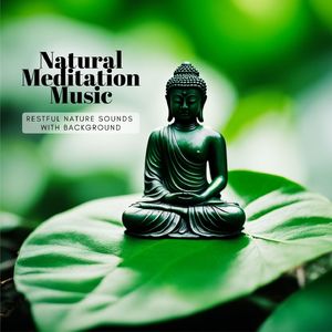 Reflections on Still Waters