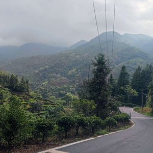 万峰之歌