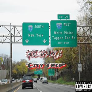 City Trip (The Pet Shop)