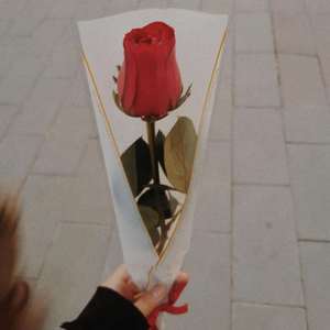 《给海煜的一封情书》 伴奏版