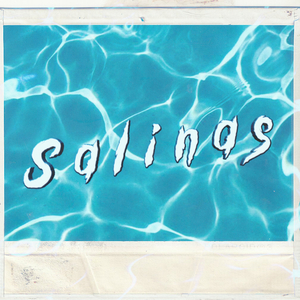 Salinas