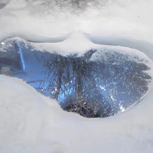 "我表白的那天,天空还下着雪花"