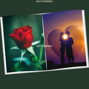 适合中午陶醉的音乐