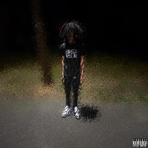 fried (feat. pintscored)