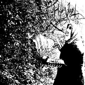 The Secret Lost at Sea