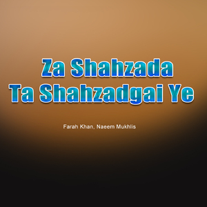 Za Shahzada Ta Shahzadgai Ye