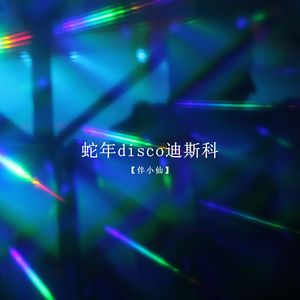 蛇年disco迪斯科