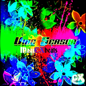 Intro Vibe Season