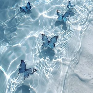 奶油蛋糕-生分（乐观.M remix）