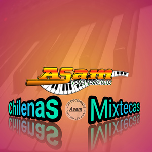 Zapateado Tepejillo (Versión instrumental)