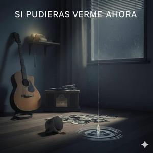 Si Pudieras Verme Ahora