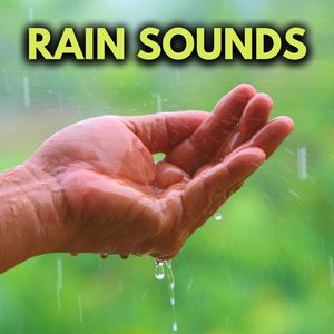 Light Rain White Noise Black Screen