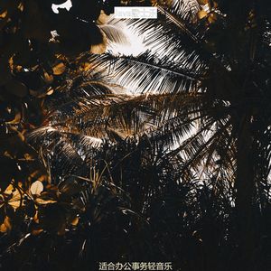 适合读了解音乐