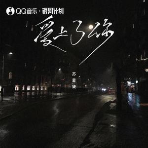 爱上了你 (降调版)