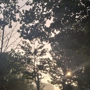 青春