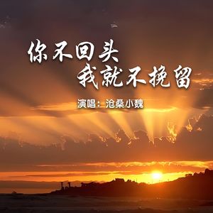 你不回头我就不挽留