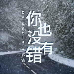 王贰浪-你也没有错（DJ版）