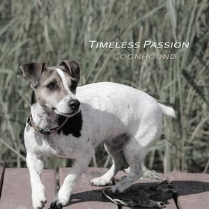 Coonhound