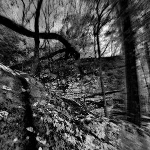 vices (feat. akkiro & valetical)