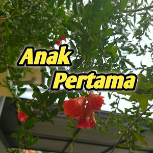 Anak Pertama
