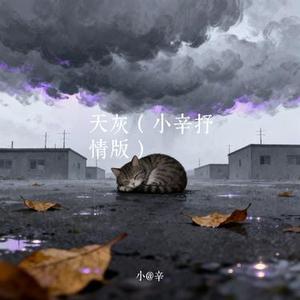 天灰 (Cover S.H.E)